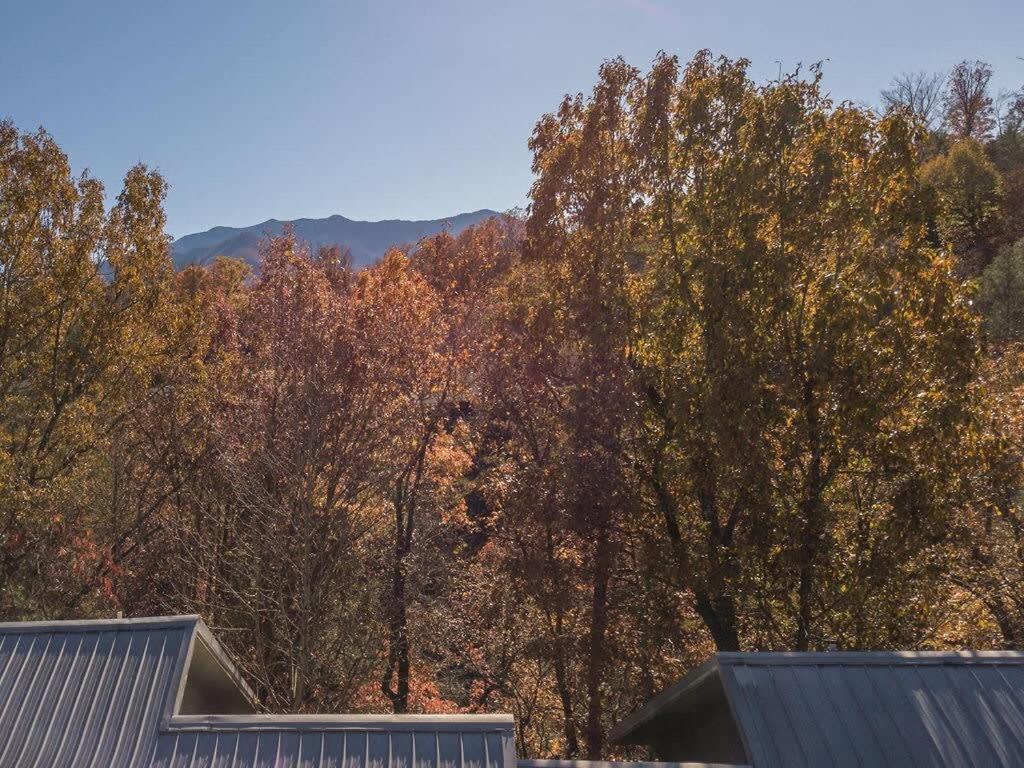 Sasquatch Lodge E Sleeps 13 Гатлінбург Екстер'єр фото